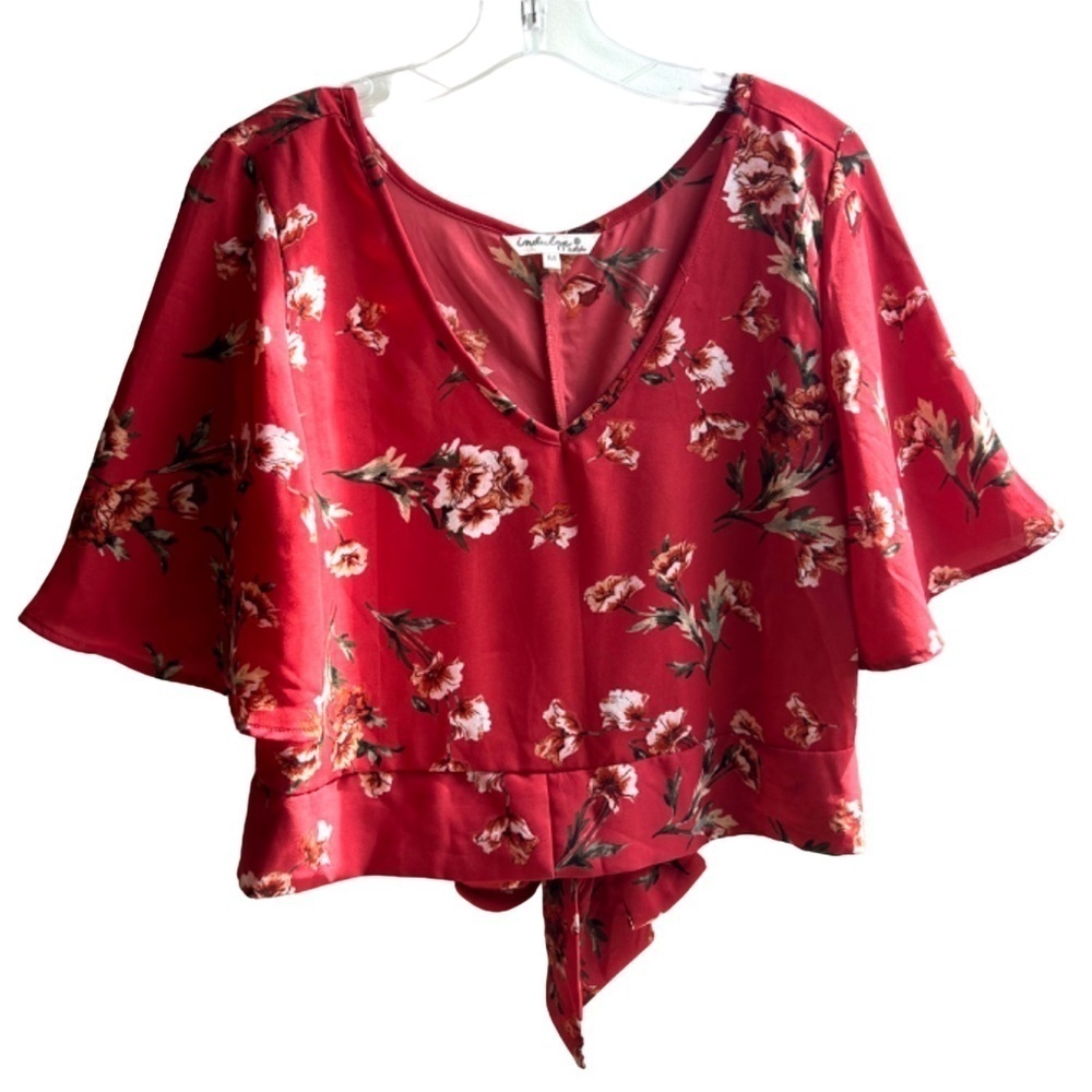 Indulge Short Sleeve V Neck Crop Top
